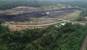 Penebangan Pohon Hutan oleh Tambang di Perbolehkan, Asal,,,,