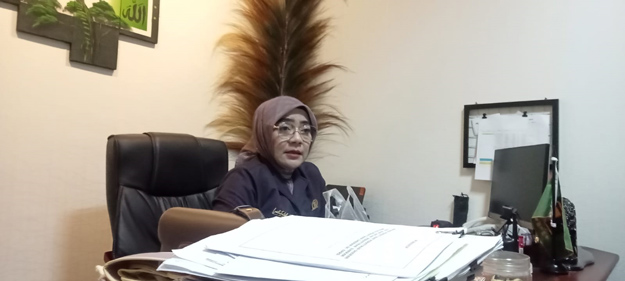Raperda UMKM Masih di Tahap Sosialisasi Ke Masyarakat