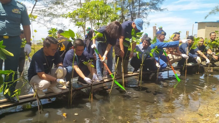 PNM dan Pegadaian Balikpapan  Kolaborasi Tanam 5 Ribu Mangrove di Lamaru 
