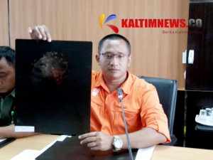 130 peluru bersarang ditubuh Orangutan Kaltim
