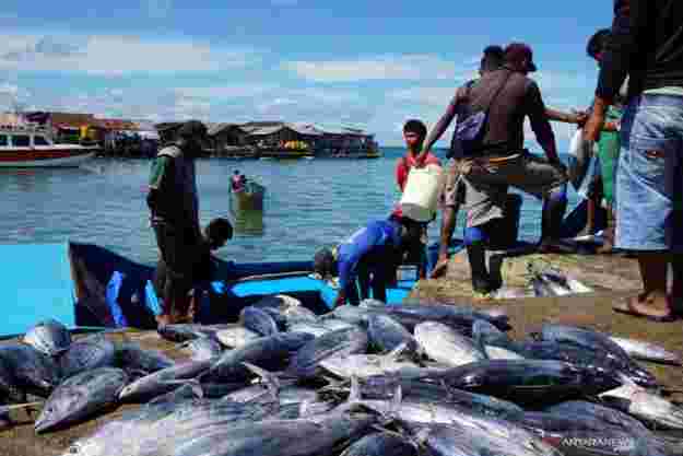 Wabup Gamalis Dorong Gerai Perizinan Kapal di Berau