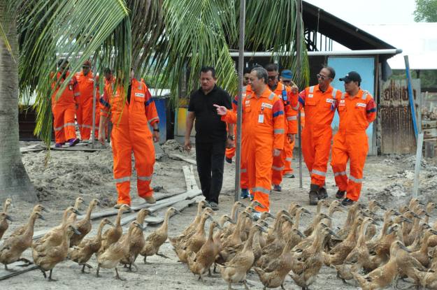 Limbah Makanan Disulap Jadi Pakan, PHM Bangun Ekonomi Sirkular Warga