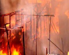 Sijago Merah Mengamuk Di Loa Bakung,  