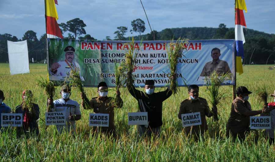 Bupati Kukar, Edi Damansyah, Ingin Petani Kukar Panen Tiga Kali Dalam Setahun