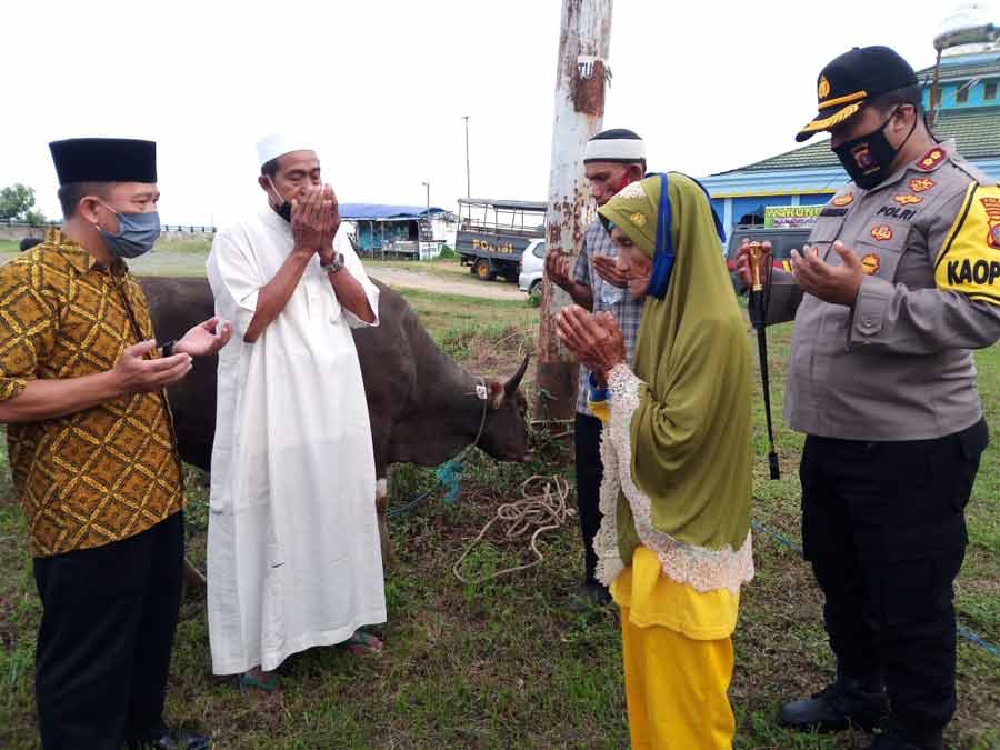15 Tahun Menabung, Wanita Penyapu Jalan Berkurban 1 Ekor Sapi dan Kambing