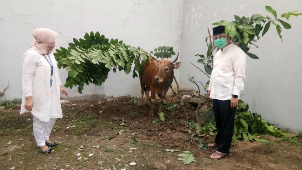 Sekda Kukar H Sunggono Serahkan 1 Ekor Sapi di Lapas Permpuan Kelas II A