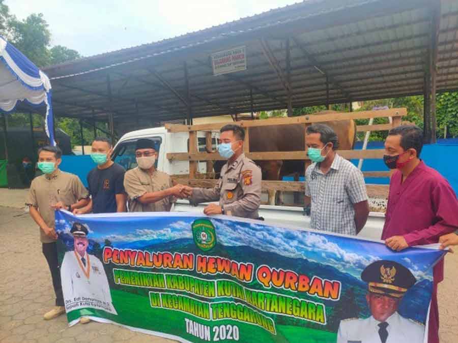Tahun Ini Pemkab Kukar Salurkan Total 62 Hewan Kurban